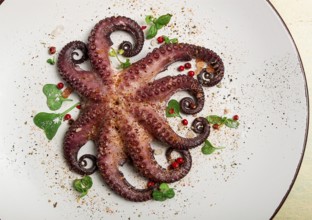 Boiled octopus, close-up, rustic style, no people, top view, close-up