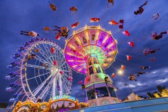 Chain carousel and Ferris wheel in the evening. 177th Cannstatter Volksfest at the Cannstatter