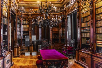 Library, Palazzo Rvoltella, palace and modern art gallery, a total work of art, Trieste, harbour