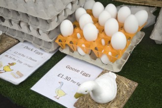 Goose and duck eggs for sale at a street market in Cromer, Norfolk, England, United Kingdom, Europe