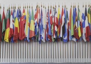Flags in front of the courtroom at the International Tribunal for the Law of the Sea during the