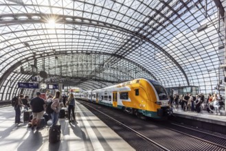 Central station with platform hall with glass roof construction, ODEG regional train, Berlin,