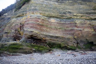 Lower lias sedimentary rocks in cliff face, Watchet, Somerset, England, United Kingdom, Europe
