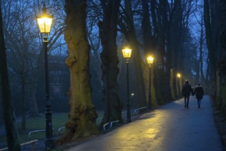 The Burgallee in Düsseldorf-Kaiserswerth, tree-lined avenue, at the old imperial palace, on the