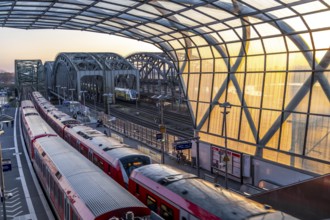 Elbbrücken S-Bahn station, the S3 and S5 S-Bahn trains run here, Commuter, Hamburg Germany