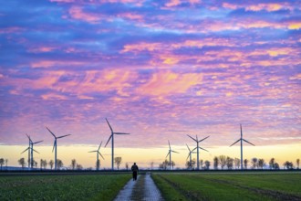 Wind farm near Holzweiler, town of Erkelenz, wind turbines, man walking his dog, North