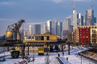 The skyline of Frankfurt am Main, skyscrapers of the banking district, historic harbour cranes at