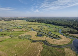Aerial view of the meandering Biebrza River in the Biebrza National Park in northern Poland.