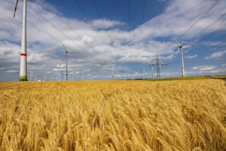 Wind farm east of Bad Wünnenberg, East Westphalia-Lippe, high-voltage power lines, grain field,