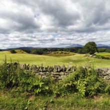 View over typical stone wall to hilly landscape near Betws-y-Coed in Merionethshire, North Wales,