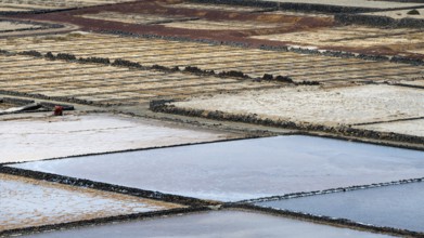 Sea salt extraction, Janubio salt works, Salinas de Janubio, Lanzarote, Canary Islands, Spain,