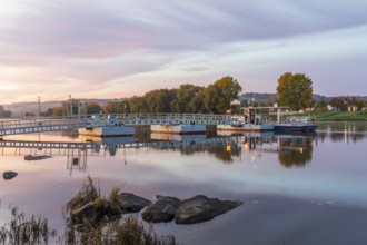 Elbe ferry in the morning light, sunrise on the Elbe in Kötitz, Coswig, Saxony, Germany, Europe