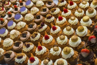 Tartlets, pastry, confectionery, pastry shop, display, Antwerp, Belgium, Europe