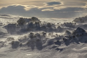 Solidified lava and stones in a snowstorm, windy, sunny, backlight, Myvatn, Iceland, Europe