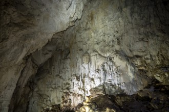 Stalactite cave, Terciopelo Cave, Barra Honda National Park, Costa Rica, Central America