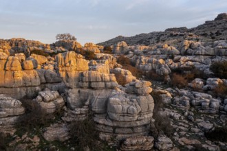 Bizarre limestone rock formations, El Torcal nature reserve, Torcal de Antequera, Malaga province,