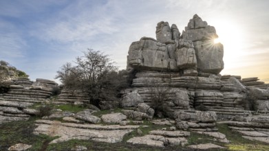 Bizarre limestone rock formations, El Torcal nature reserve, Torcal de Antequera, Malaga province,