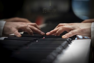 Hands of a young pianist playing on the keyboard of a Steinway & Sons grand piano, Stuttgart,