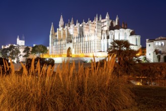Palma de Majorca, Bay of Palma, the Cathedral of St Mary, Balearic Islands, Spain, Europe