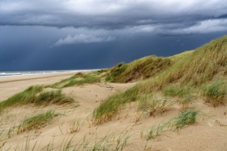 Dune landscape, beach, dark storm clouds, autumn at the North Sea in North Holland, between the