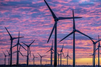 Wind farm near the East Frisian town of Norden, east of the town, sunset, Lower Saxony, Germany,