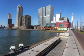 The skyline of Rotterdam, at the Nieuwe Maas, river, skyscrapers at the Kop van Zuid district,