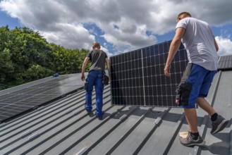 Installation of solar modules on the roof of a barn on a farm, over 210 photovoltaic modules are