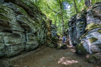 The Devil's Gorge, narrow, accessible gorge of sandstone rocks, with steep rocky gorges, near