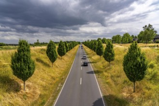 Dorstfelder Allee in Dortmund, completely new road built in 2013, former farmland, in the Dorstfeld