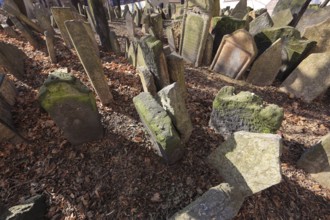 The Old Jewish Cemetery in the Josefov district is one of the most historically significant Jewish
