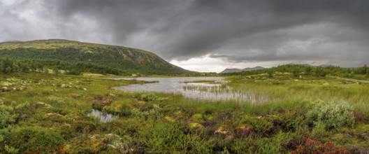 Rain clouds over a small lake near Börsjöhögruva, Panorama, landscape, Fjell, mountains, landscape