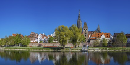 Panorama over the Danube to Ulm with Ulm Minster and Metzgerturm, Baden-Württemberg, Germany,