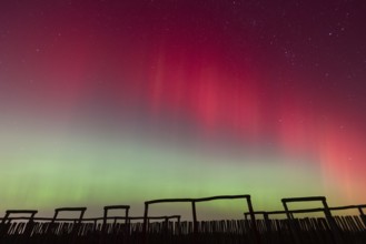 Northern lights (aurora borealis) over the ring sanctuary of Pömmelte, prehistoric circular ditch