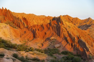 Red rocks, canyon of eroded sandstone formations, red and orange sandstone rocks, fairytale gorge,
