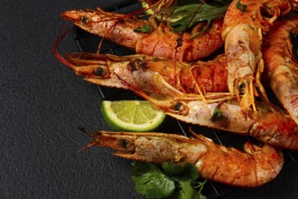 Langoustines, Australian, freshly frozen on ice, top view, lime and greens