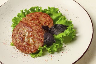 Fried beef patties, top view, no people