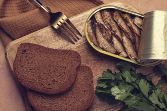 Eingemachtes, Sprotten mit Schwarzbrot, Ansicht von oben, keine Personen