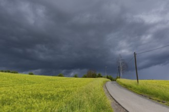 Heavy rain showers and thunderstorms over Possendorf in the Eastern Ore Mountains, Possendorf,