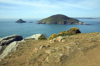 Jethou island viewed from Herm, Channel Islands, Great Britain