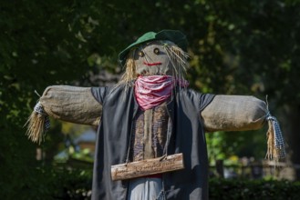Humanoid scarecrow, bird scarer dressed in old clothes and placed in vegetable garden to deter,