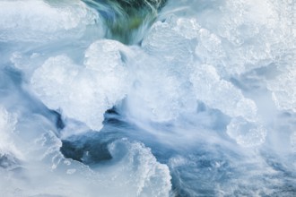 Heart-shaped ice detail, Graubünden, Switzerland, Europe