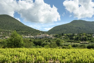 Venterol village near Nyons and its vineyards in Drôme Provençal. Drôme. Auvergne-Rhone-Alpes.