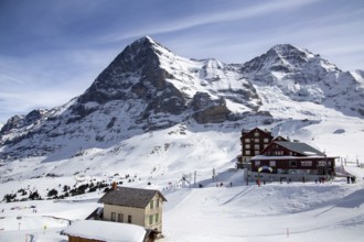 25 March 2024, Kleine Scheidegg, Grindelwald Switzerland : Many skiers and tourists enjoy the sunny
