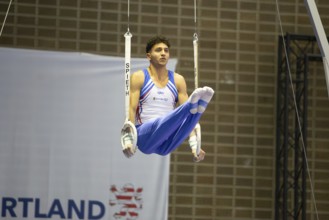 Olympic qualification in apparatus gymnastics in Rüsselsheim Picture: Lukas Dauser on the rings