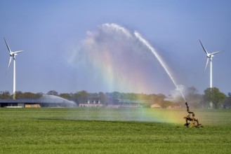 Artificial irrigation of a cereal field in April, with a sprinkler system, long dry spell in spring