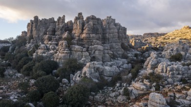 Bizarre limestone rock formations, El Torcal nature reserve, Torcal de Antequera, Malaga province,