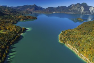 Aerial view of a mountain lake and autumnal coloured trees in the morning light, Walchensee, view