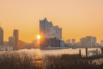 Sunrise behind the Elbphilharmonie reflected on the water, Hamburg, Germany, Europe