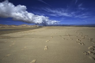Sandy beach beach Playa Risco del Paso, Playa de Sotavento with footprints, blue sky and clouds,