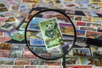 Stamp collection, collecting, postage stamps, postage stamps from different countries, magnifying